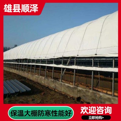 保温大棚厂家直销