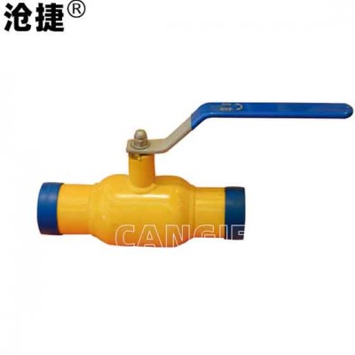 球阀端口保护帽