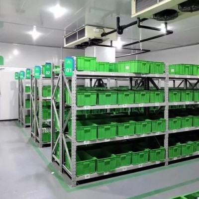医药冷库