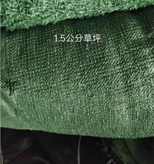 草坪