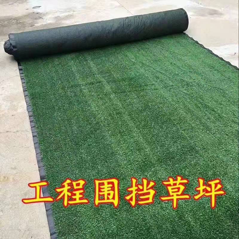 草坪