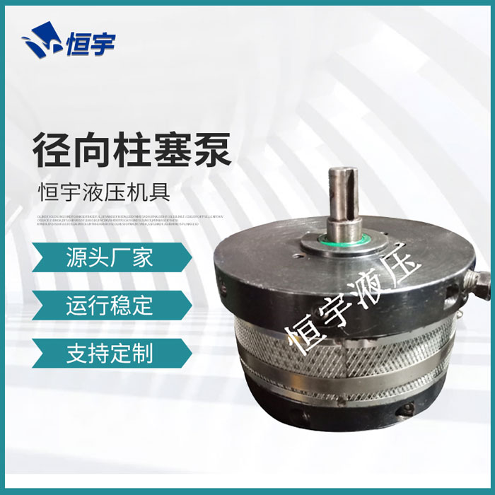 径向柱塞泵1