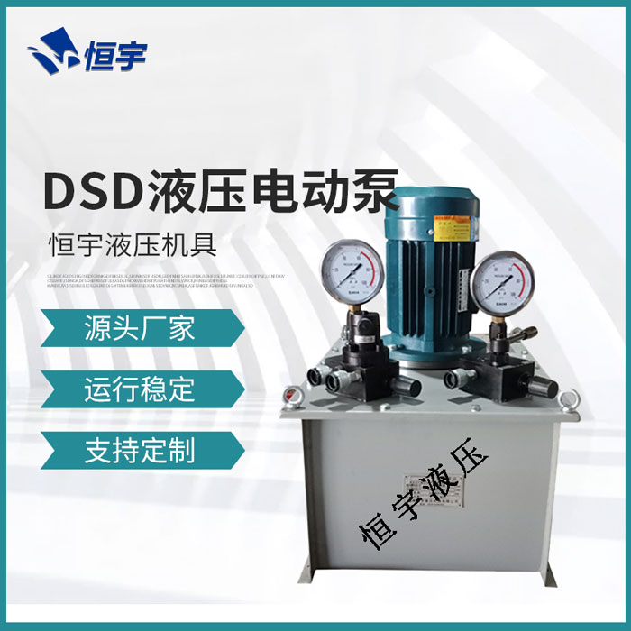 DSD液压电动泵2