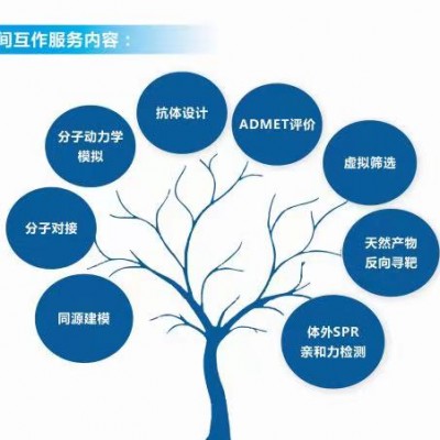 分子动力学模拟