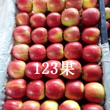 123果