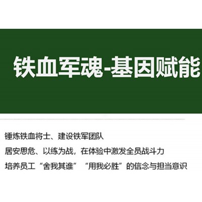 铁军军魂培训